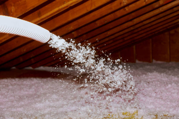 Best Types of Insulation in Cottage Grove, MN