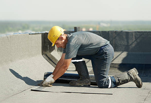 Best Energy Efficiency Solutions in Cottage Grove, MN